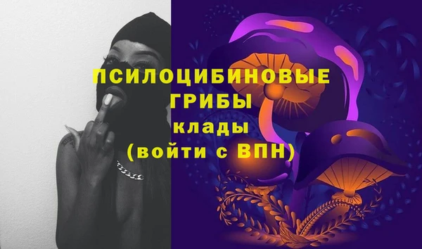 бошки Абаза