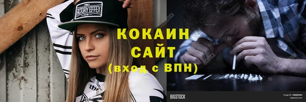 дмт Тавда