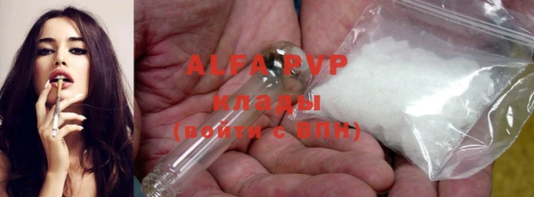 гашик Алзамай