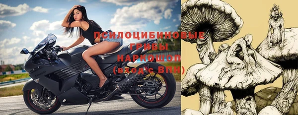 гашик Алзамай