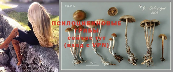 гашик Алзамай