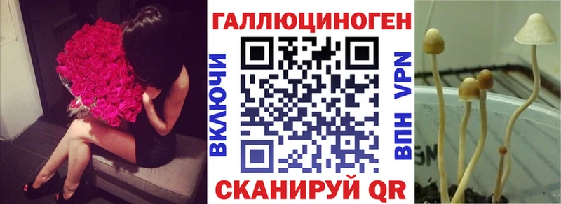 Галлюциногенные грибы Psilocybine cubensis Талдом